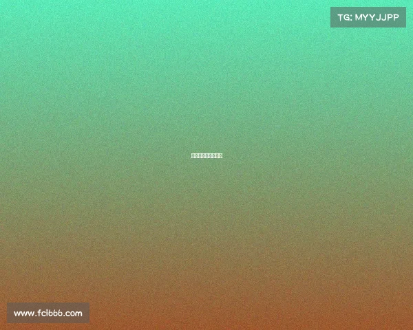 希望之星全国赛流程