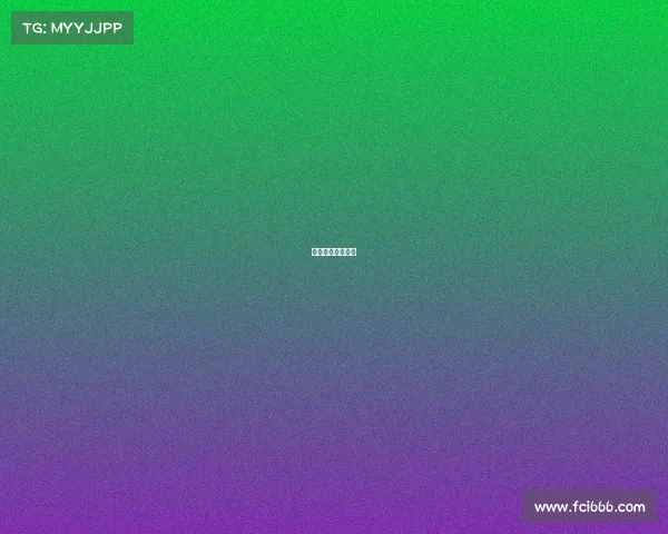 世界顶级格斗大赛